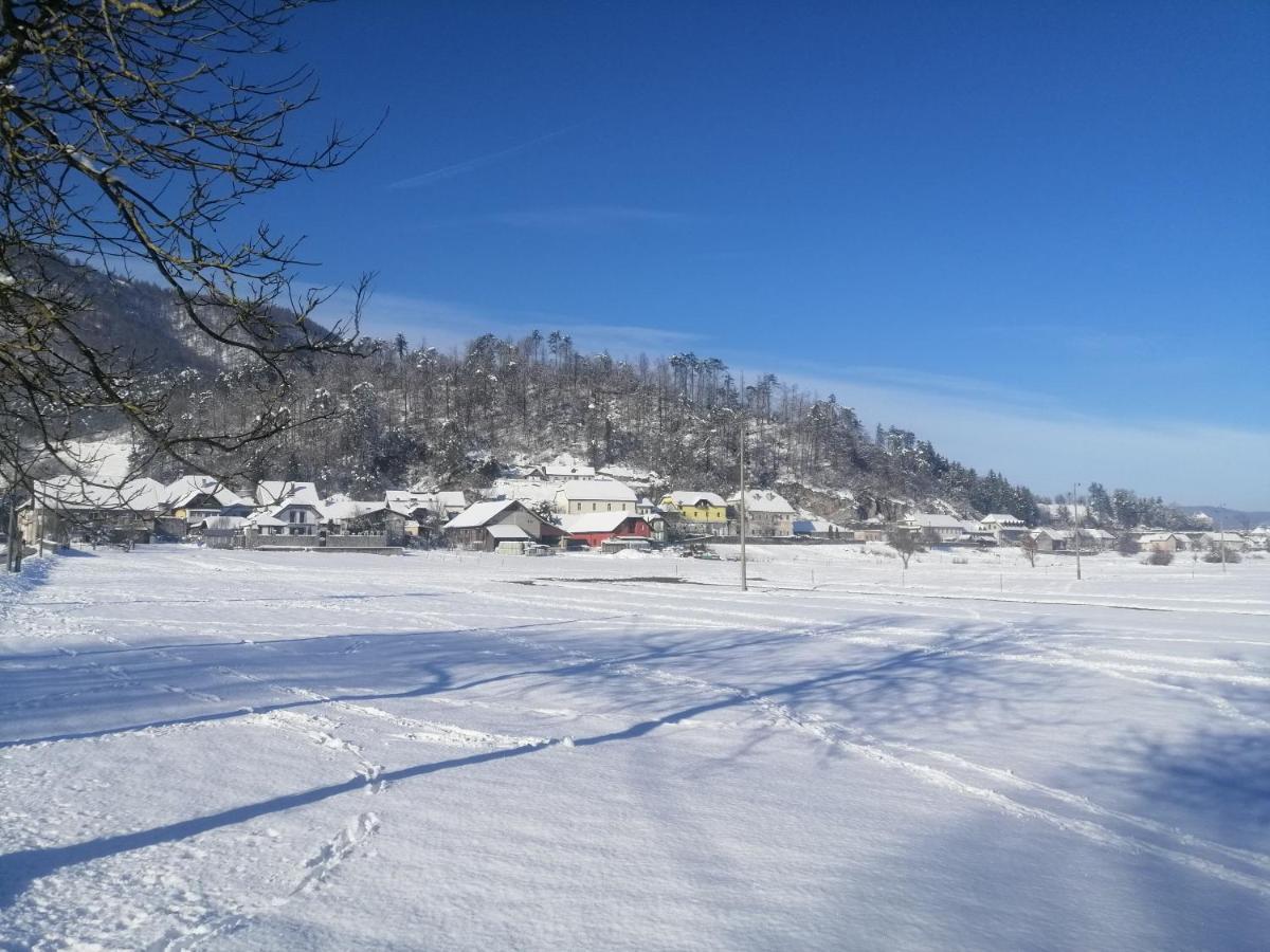 Hisa Haasberg Villa Planina  Екстериор снимка